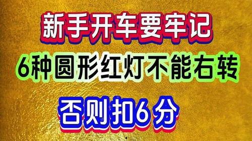 独家爆料网免费入口,免费入口带你畅游爆料网世界