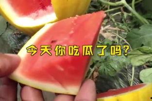 17吃瓜fun,揭秘娱乐圈那些不为人知的幕后故事