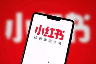 2025十大社会热点事件 网红大瓜排行,十大社会热点事件幕后揭秘